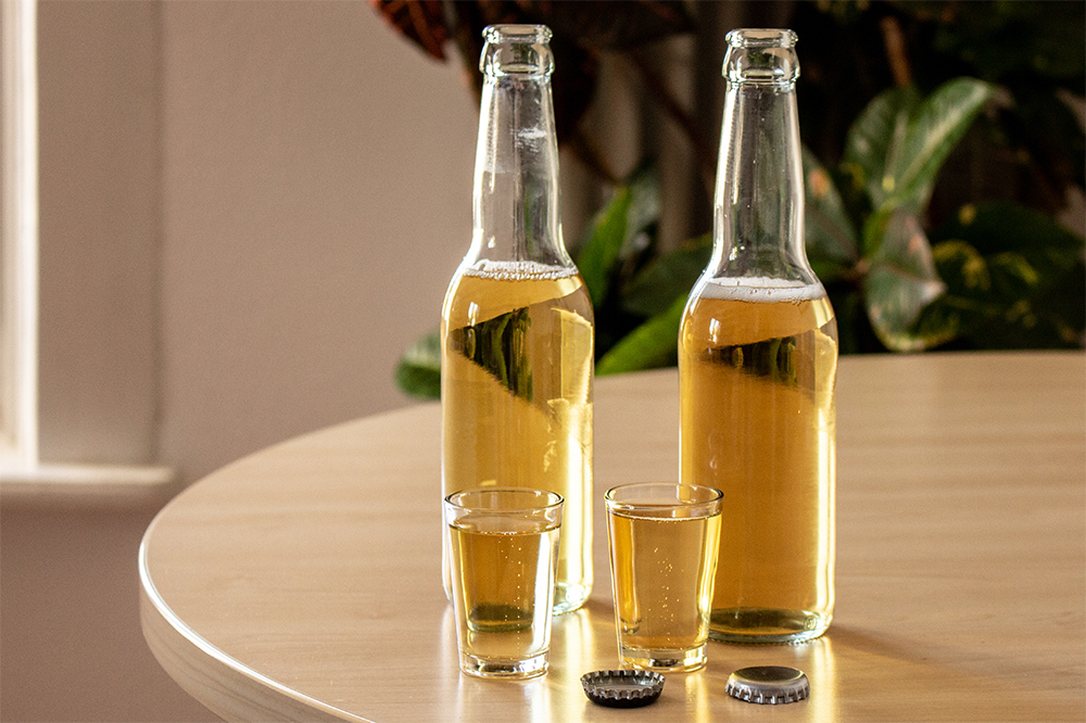 Zwei Bierflaschen und zwei gefüllte Gläser, bereit zur Degustation